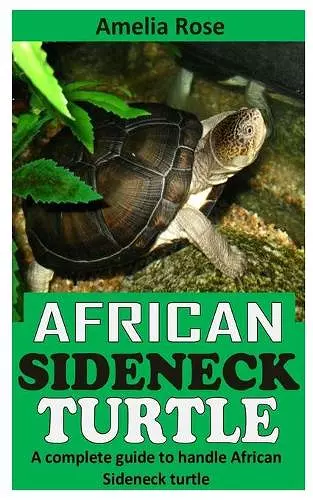 African Sideneck Turtle cover