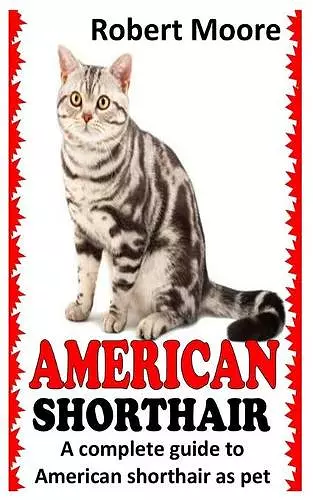 American Shorthair cover