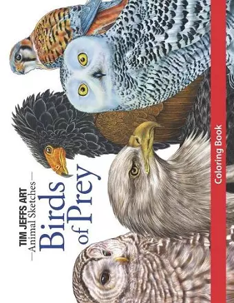 Birds of Prey Coloring Book cover