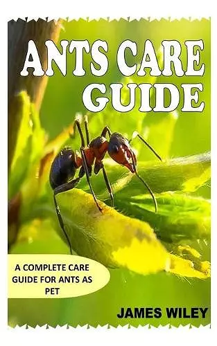 Ants Care Guide cover