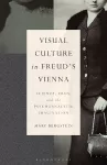 Visual Culture in Freud's Vienna cover