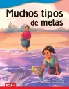 Muchos tipos de metas cover