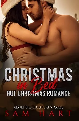 Christmas in Bed - Hot Romance cover