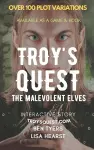 Troy's Quest cover