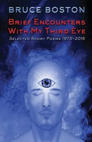 Brief Encounters with My Third Eye cover