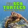 Getting to Know Sea Turtles cover