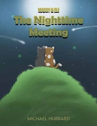 The Nighttime Meeting cover