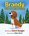 Brandy A Very Special Journey cover