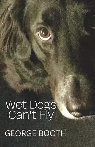 Wet Dogs Can't Fly cover