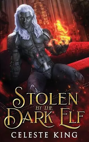 Stolen By The Dark Elf cover