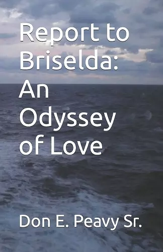 Report to Bridselda cover