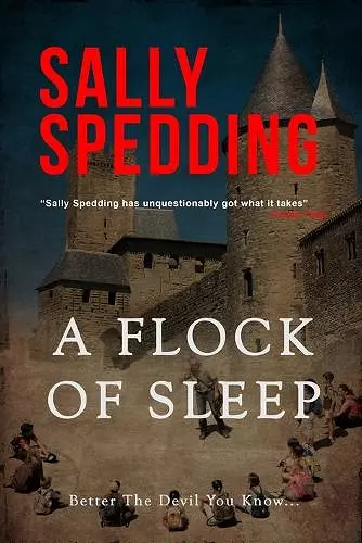 A Flock Of Sleep cover