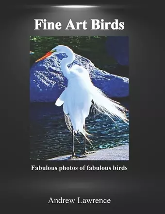 Fine Art Birds cover