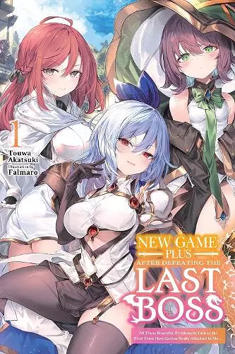 New Game Plus After Defeating the Last Boss, Vol. 1 (light novel) cover