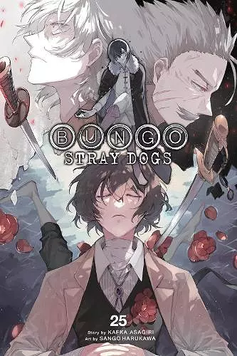 Bungo Stray Dogs, Vol. 25 cover