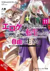Magical Explorer, Vol. 11 (light novel) cover