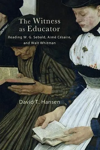 The Witness as Educator cover