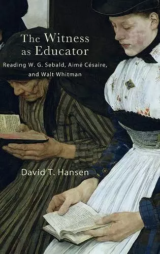 The Witness as Educator cover