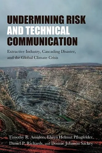 Undermining Risk and Technical Communication cover