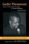 Ludic Pleasures cover