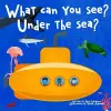 What can you see under the sea? cover