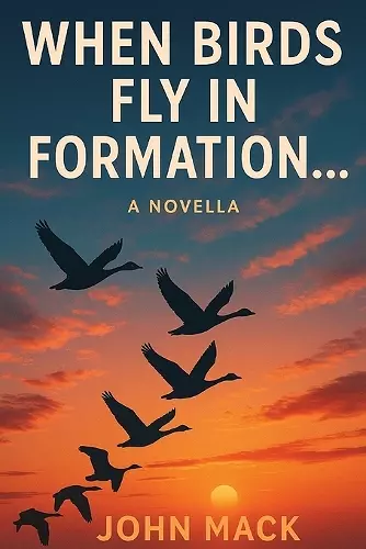 When Birds Fly In Formation cover
