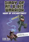 Diary of an 8-Bit Warrior cover