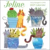 Feline 2027 Wall Calendar cover