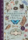 The Collector's Curio cover