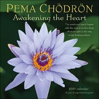 Pema Chödrön 2027 Wall Calendar cover