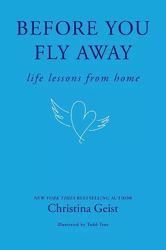 Before You Fly Away cover