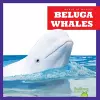 Beluga Whales cover