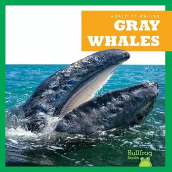 Gray Whales cover