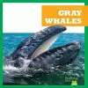 Gray Whales cover