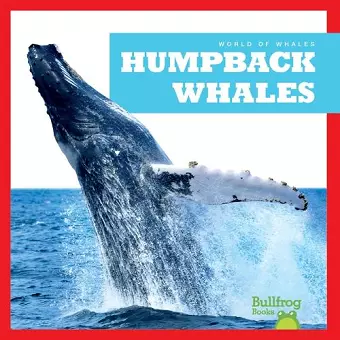 Humpback Whales cover