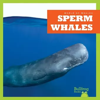 Sperm Whales cover