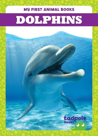 Dolphins cover