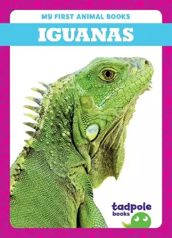 Iguanas cover