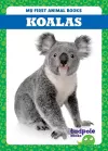 Koalas cover