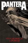Pantera: Vulgar Display of Power cover