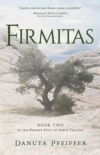 Firmitas cover