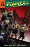 Teenage Mutant Ninja Turtles: Reborn, Vol. 8 - Damage Done cover