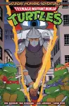 Teenage Mutant Ninja Turtles: Saturday Morning Adventures, Vol. 4 cover