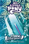My Little Pony: The Storm of Zephyr Heights cover