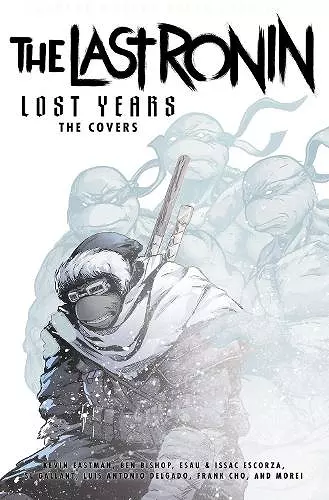 Teenage Mutant Ninja Turtles: The Last Ronin Lost Years cover