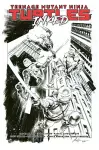 Teenage Mutant Ninja Turtles, Vol. 1: Return to New York cover
