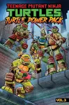 Teenage Mutant Ninja Turtles: Turtle Power Pack, Vol. 3 cover