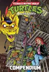 Teenage Mutant Ninja Turtles Adventures Compendium, Vol. 3 cover