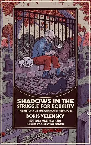 Shadows in the Struggle for Equality cover