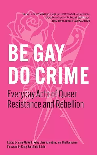 Be Gay, Do Crime cover